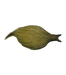 Cou DVX G3 Grizzly Olive