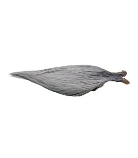 Cou DVX G3 Gris Clair