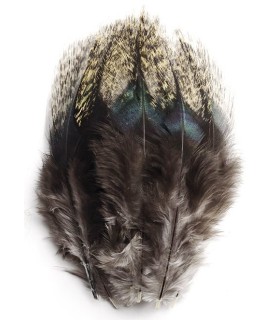 Pelles de Pardo claire