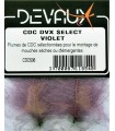 CDC Devaux  Violet