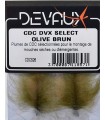 CDC Devaux Olive brun