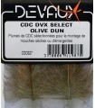 CDC Devaux  Olive dun