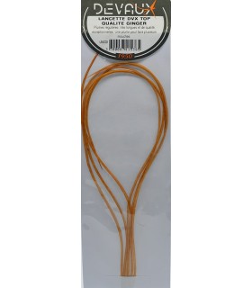 Lancette DVX XS Ginger