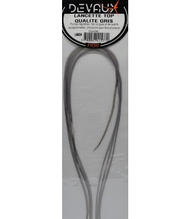 Lancette DVX XS Gris