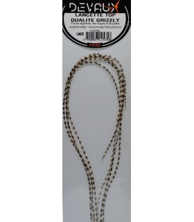 Lancette DVX XS Grizzly