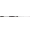 Canne BFT Raptor G2 Jerkbait 6'6- 150gr