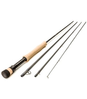 Taille 10' soie 6 Centric