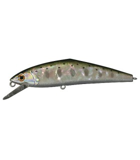 D-Contact Awabi N°02 Nouveauté 2015