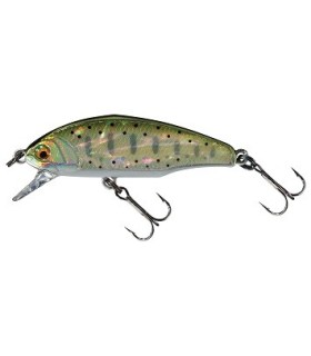 D-Incite Awabi N°1 Nouveauté 2016