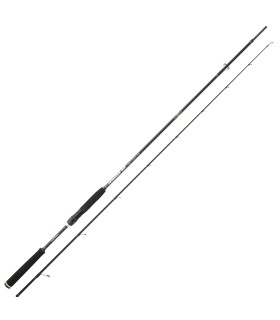 Ionizer G2 2,74m 15-55g Spinning Long Range