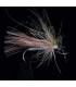 Sélection JMC 3 mouches Sedges BRACCHY