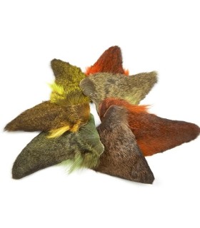 Oreille de chevreuil