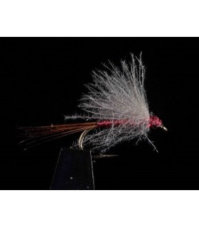 Sélection 3 mouches Emergentes CHARNOZ