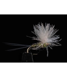 Sélection 3 mouches Emergentes JMC 21