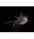 Sélection 3 mouches Emergentes JMC 58
