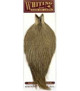 Cous Coq de léon Cape Light Pardo