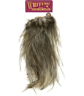 Cous Coq de léon Saddle Bronze Light Pardo