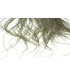 Cous Whiting Pro Grade Midge Saddle  White Dyed Medium Dun