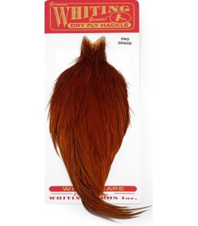 Cous Whiting Pro Grade Cape Brown