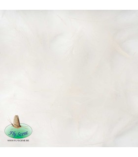 Cul de Canard blanc naturel