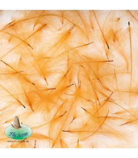 Cul de Canard Cinnamon-Cannelle