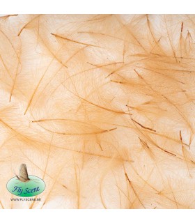 Cul de Canard Bronze