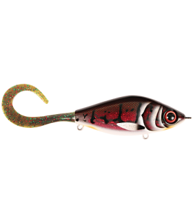 Guppie et Guppie JR N° 26