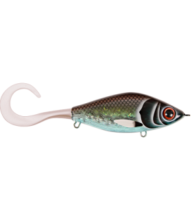Guppie et Guppie JR N°27