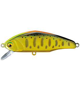 D-Incite 44 mm N°19