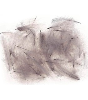 Cul de canard JMC Gris