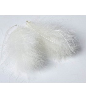 Sélection CDC Jmc 50 plumes Blanches