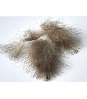 Sélection CDC Jmc 50 plumes Kaki