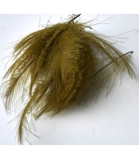 Sélection CDC Jmc 50 plumes Olive