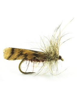 Mouche Sedge Devaux BCS