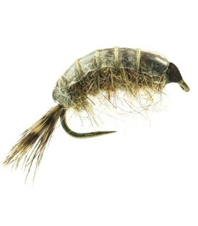 Gammares Devaux  JBG 00