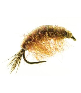 Gammares Devaux  JBG 02