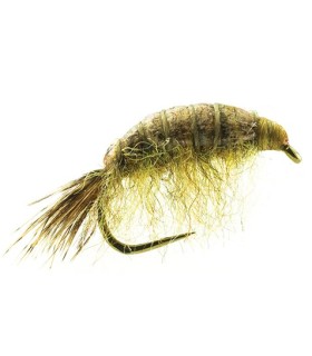 Gammares Devaux  JBG 03