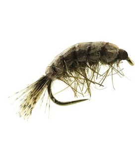 Gammares Devaux  JBG 04