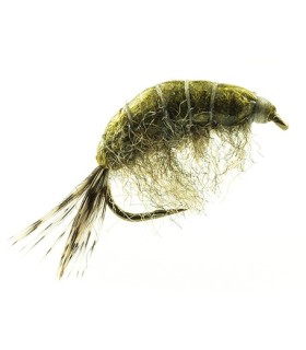 Gammares Devaux  JBG 05