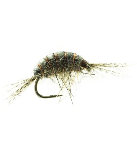 Gammares Devaux  TUNG.GAMT 01