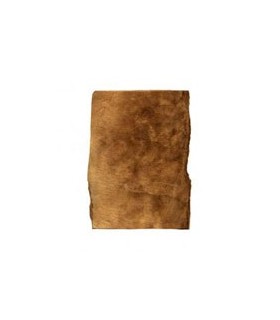 Feuille Amadou Petitjean