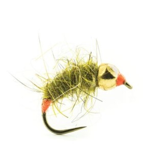 Nymphe Bille Tungstène Devaux JBNT 02