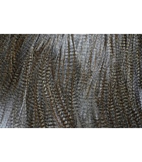 Cous Coq de léon Saddle Bronze Medium Pardo