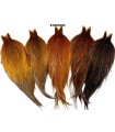 Heritage Hackle cape brown variant