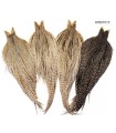 Heritage Hackle cape Grizzly variant