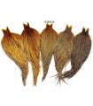 Heritage Hackle cape Barred Ginger variant