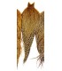 Heritage Hackle cape Barred Ginger variant