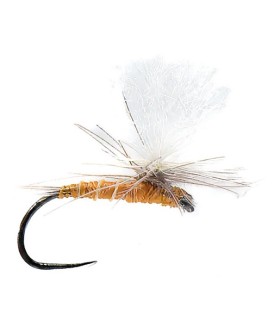 mouche sèche devaux P21