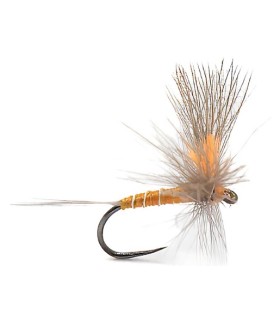 mouche sèche devaux JBE81