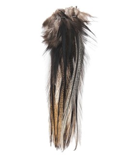 Lancettes de Pardo claire